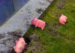 FC Carl Zeiss Jena FC Rot Weiss Erfurt 16032024 22